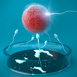 美國(guó)試管嬰兒費(fèi)用可以報(bào)銷(xiāo)嗎