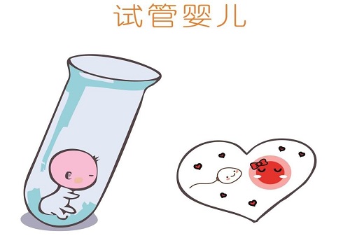 泰國試管嬰兒多少錢一次