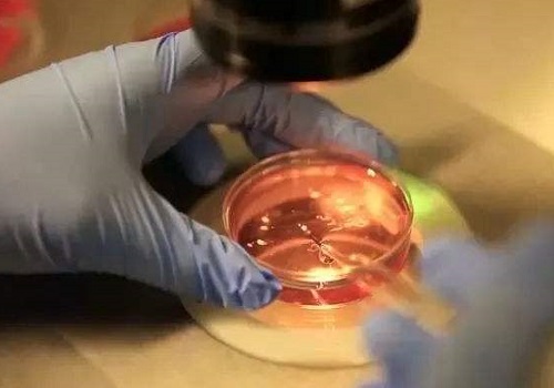 好的試管嬰兒的醫(yī)院怎么去找