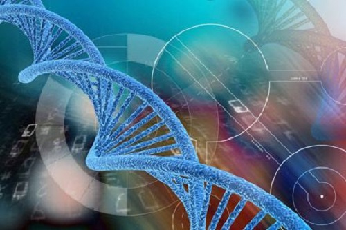 做一個(gè)試管要多少錢