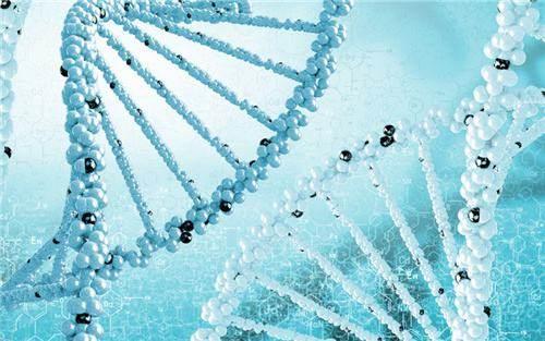 煙臺第三代試管嬰兒醫(yī)院費用