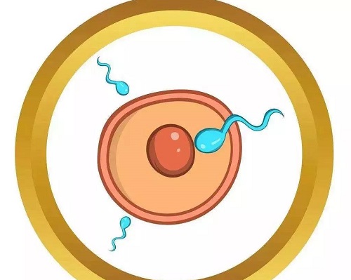 做試管嬰兒價格需要多少錢